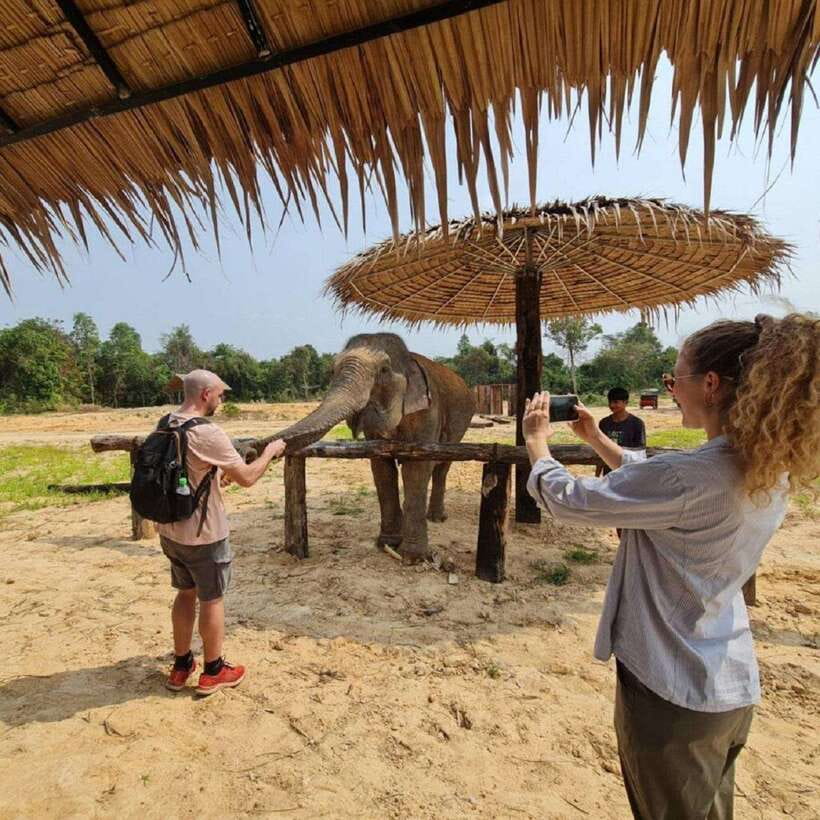 Cambodia Elephant Sanctuary and Banteay Srey Temple Tour - FAQ