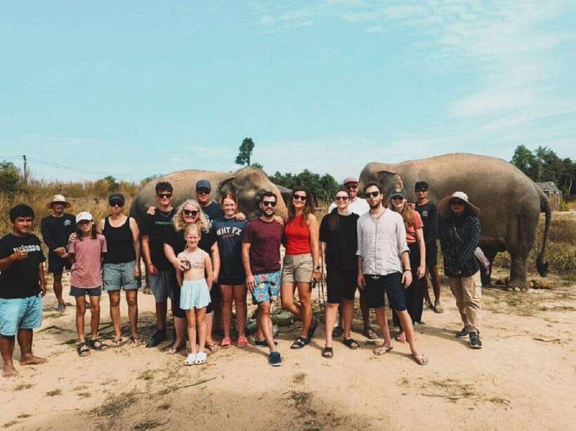 Cambodia Elephant Sanctuary and Banteay Srey Temple Tour - Meeting the elephants through food and care