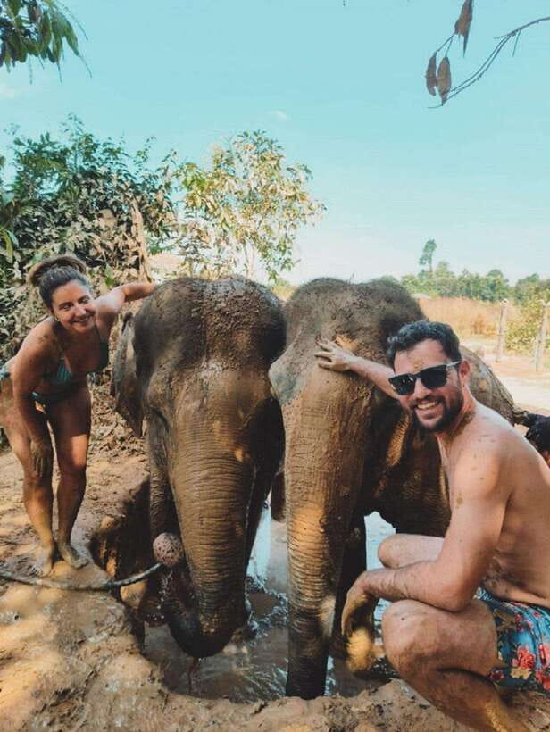 Cambodia Elephant Sanctuary and Banteay Srey Temple Tour - Banteay Srei and its finely cut pink stone