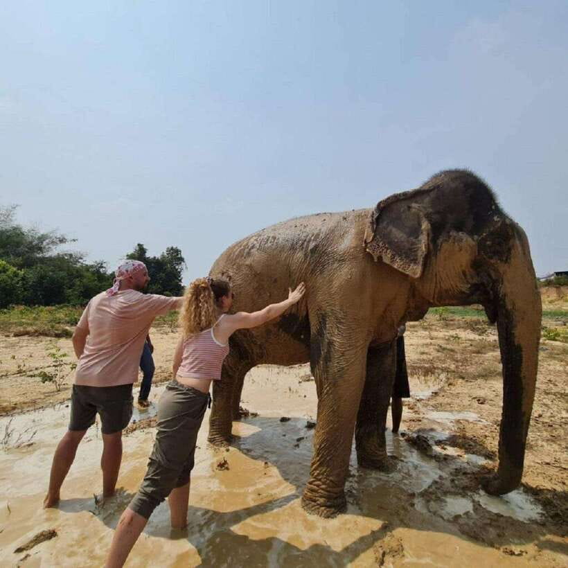 Cambodia Elephant Sanctuary and Banteay Srey Temple Tour - How the day fits together from Siem Reap