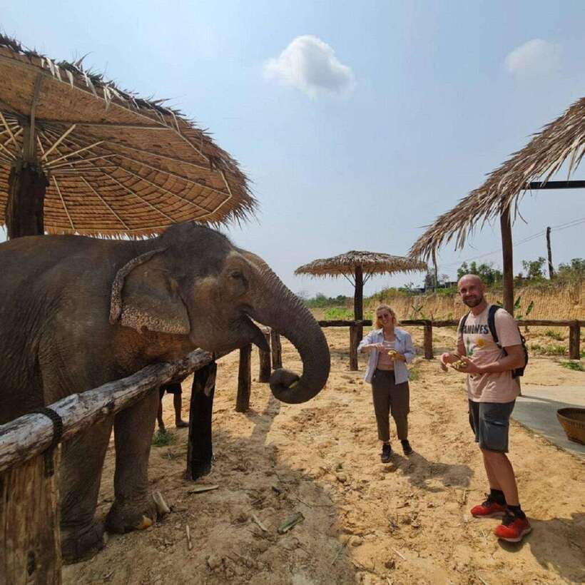 Cambodia Elephant Sanctuary and Banteay Srey Temple Tour - Is $71 a fair price?