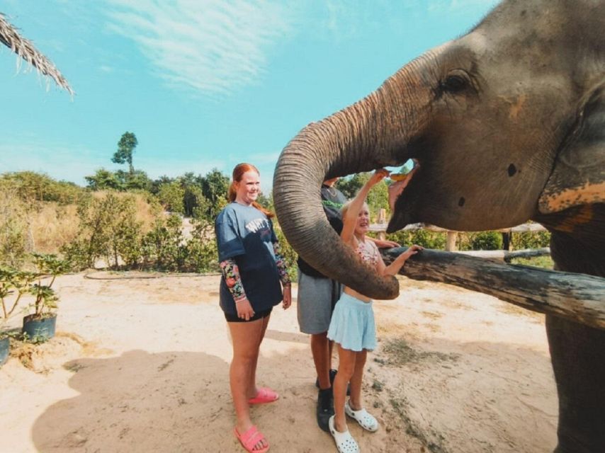 Cambodia Elephant Sanctuary and Banteay Srey Temple Tour - Who should book this experience?