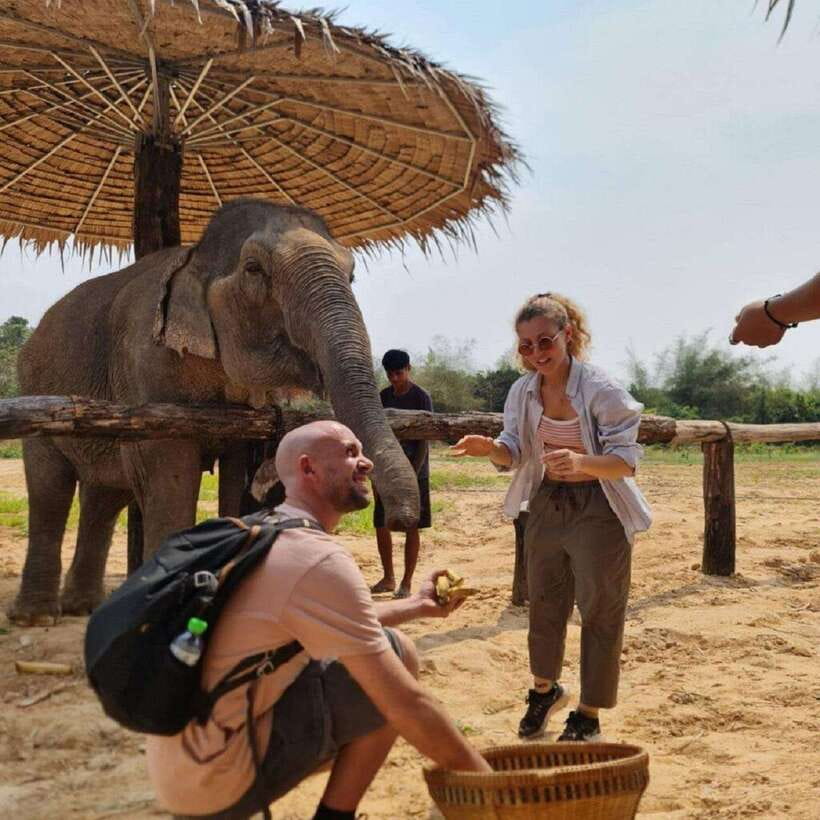 Cambodia Elephant Sanctuary and Banteay Srey Temple Tour - What the elephant visit feels like in practice