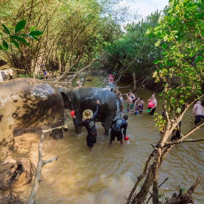 Cambodia Elephants Haft Day Experiences from Siem Reap - Preparing nutritious food for the elephants