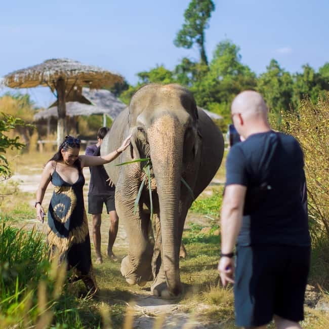 Cambodia Elephants Haft Day Experiences from Siem Reap - Bathing the elephants for 20 to 30 minutes