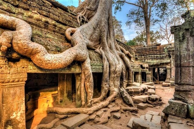 Cambodia Highlight 6 Days Tour from Siem Reap to Phnom Penh - Day 5: Phnom Penh’s royal and painful chapters