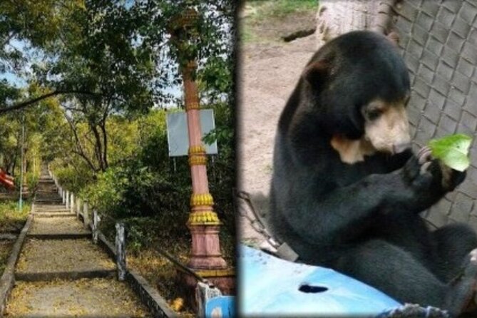 Cambodia Wildlife Sanctuary and Countryside Tour - Phnom Tamao makes this more than a standard temple trip