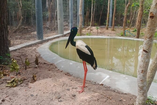 Cambodia Wildlife Sanctuary and Countryside Tour - Should you book it?