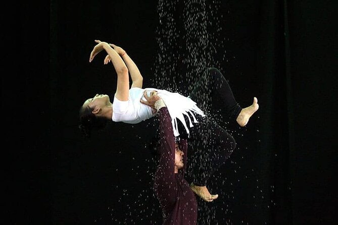 Cambodian Circus Show in Siem Reap by Phare with Hotel Pick-Up - What Happens Inside the One-Hour Performance