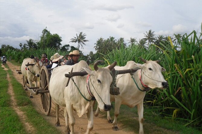 Cambodian Cooking Class and Oxcart Ride with Local Village Tour - From Siem Reap hotel pickup to the countryside