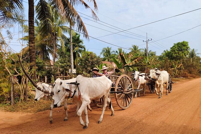 Cambodian Cooking Class and Oxcart Ride with Local Village Tour - Who will enjoy this half-day outing