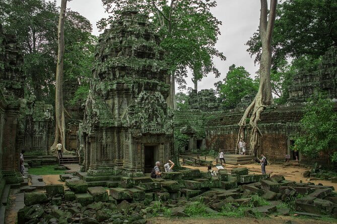 Classic Angkor Wat Sunrise Full Day Private Guide Tour - Ta Prohm and the power of the trees