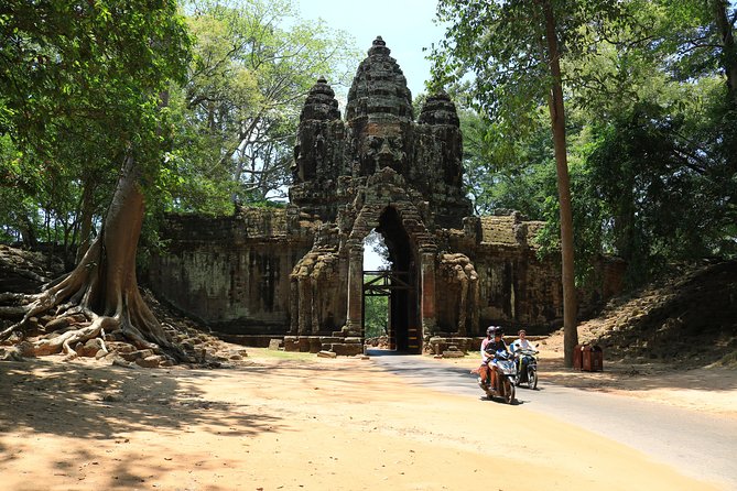 Classic Angkor Wat Sunrise or Sunset Private and Small GroupTour - Ta Prohm and the appeal of ruins with atmosphere