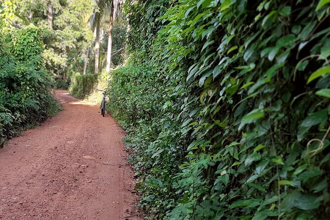 Cultural Cycling Tour - half day (8:00-11:30) - The guide makes the difference