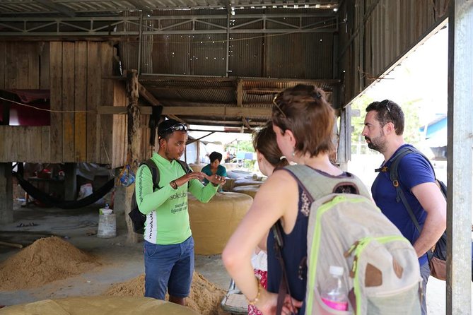 Customs and Culture Half Day Walk and Bike Tour in Battambang - Why this ride shows you Battambang beyond the center