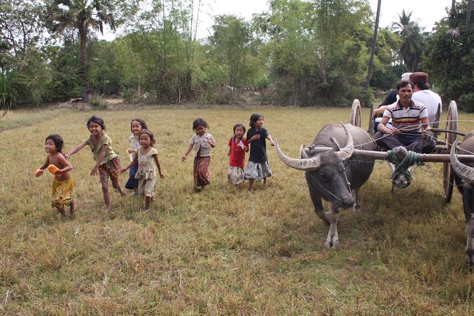 Day in a Life Authentic Village Experience in Siem Reap - Rice fields, palm leaves, and seasonal work
