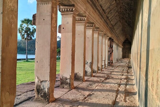 Day trip Phnom Penh to Siem Reap & Return back - Ta Prohm, roots and movie fame