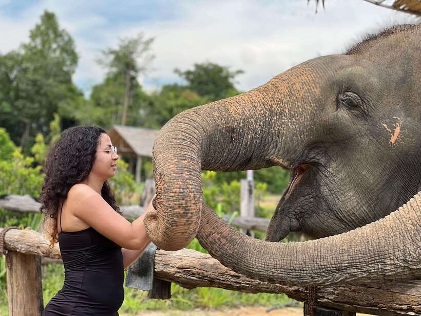Elephant Sanctuary Cambodia, Pickup and drop off included - A close encounter built around elephant care