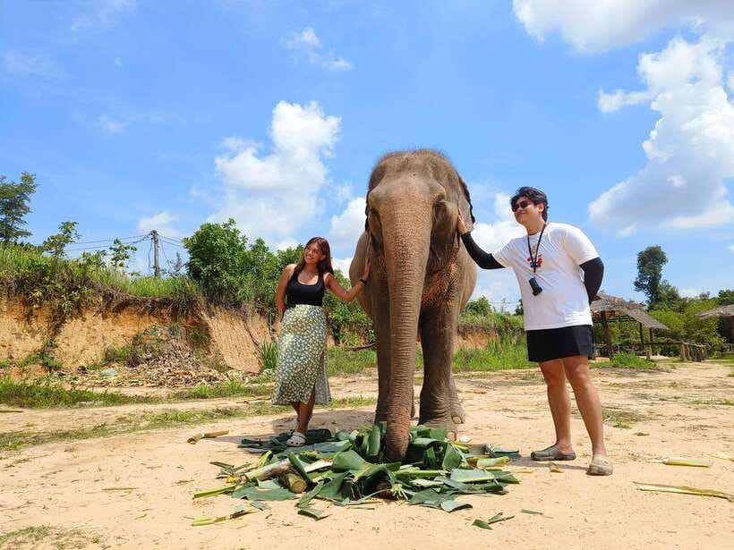 Elephant Sanctuary Cambodia, Pickup and drop off included - The mud bath is playful, but not just for fun