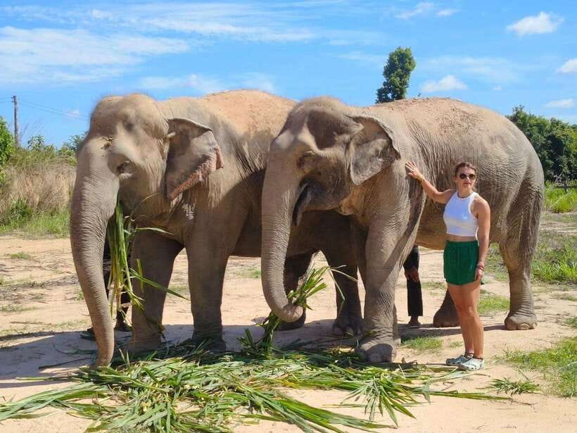 Elephant Sanctuary Cambodia, Pickup and drop off included - A small refreshment break before returning