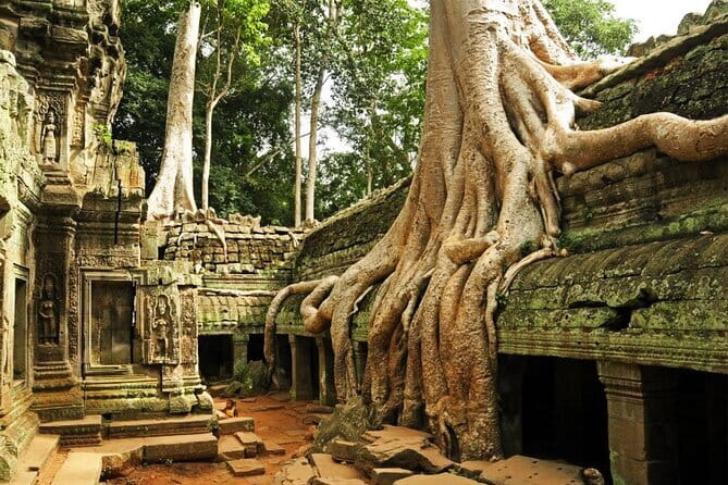 Exclusive Angkor temples and Small group temples tours - Key points to know before booking