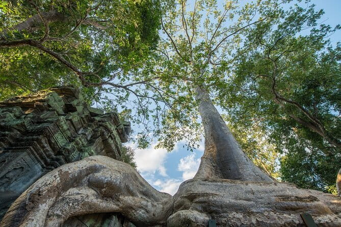 Exclusive Angkor temples and Small group temples tours - Starting at the South Gate of Angkor Thom