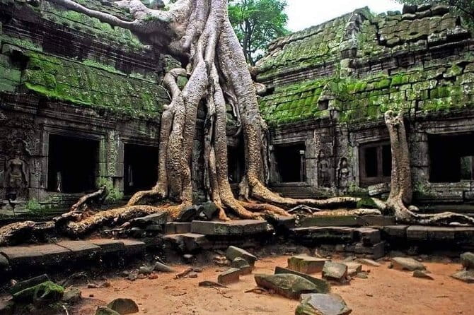 Explore Angkor Wat Sunrise Small Tour Private VIP Car - Angkor Wat before the crowds and heat