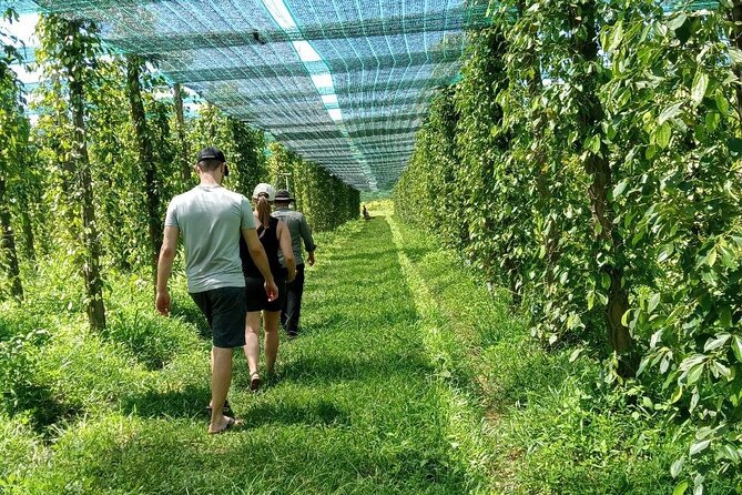 Exploring Kampot: A Memorable Tour from Sihanoukville - Key points at a glance