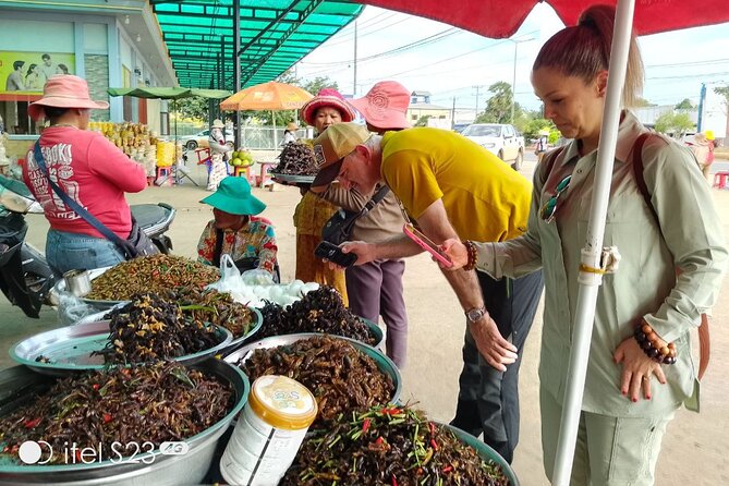 Exploring Siem Reap: Scenic Journey from Phnom Penh or Vice Versa - What the private vehicle adds