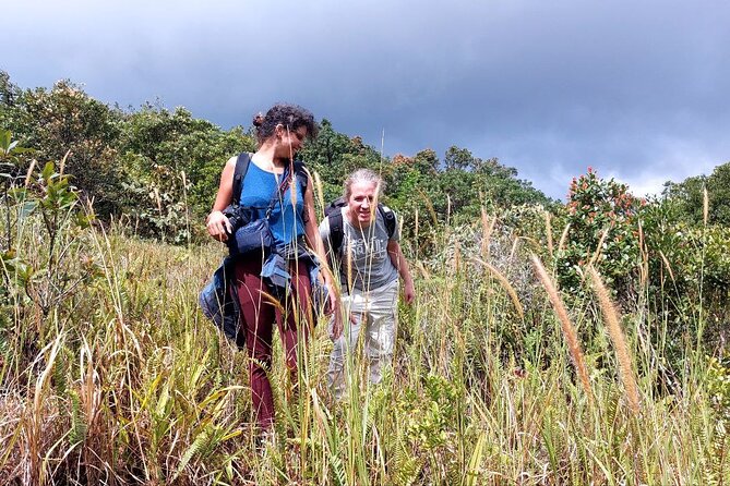 Exploring the Best of Kampot and Kep in a Full-Day Tour - The guides can shape the whole day