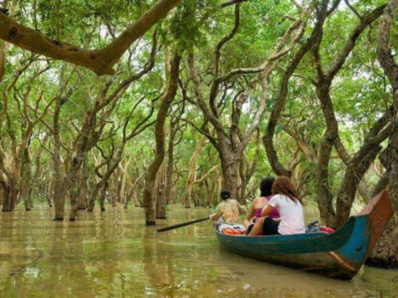 Floating Village-Mangroves Forest Tonle Sap Lake Boat Tour - Key things to know before you book