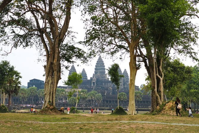 (Free eSim) Classic Angkor Wat Sunrise Full Day Tour - Ta Prohm and the power of the jungle