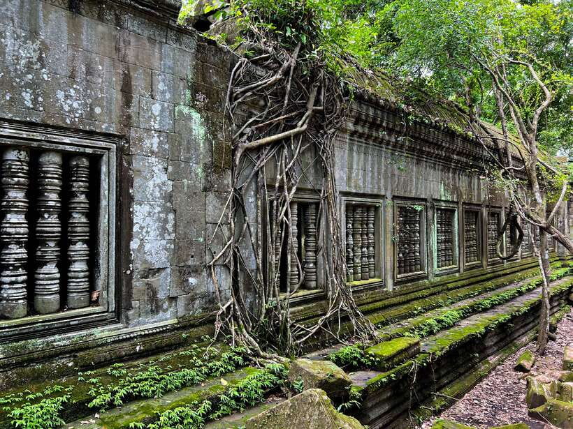 From Koh Ker: Full-Day Private Tour of Cambodian Temples - Prasat Prum, the jungle temple finale