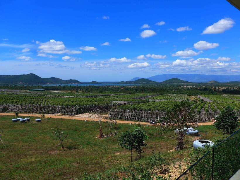 From Phnom Penh: Kampot Day Trip to Beautiful place W/ Guide - La Plantation and the story of Kampot pepper