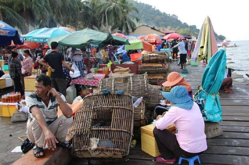 From Phnom Penh: Kampot Day Trip to Beautiful place W/ Guide - Kampot salt fields and seasonal planning