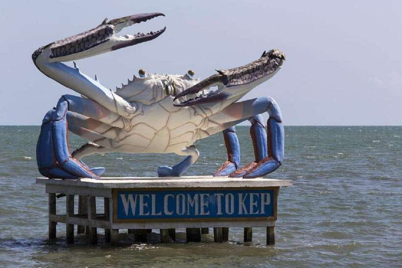From Phnom Penh: Kampot Day Trip to Beautiful place W/ Guide - The Kampot Seahorse statue by Prek Terk Chuu