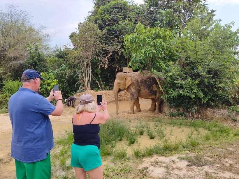 From Siem Reap: Elephant Sanctuary Experience with Transfers - A quiet alternative to elephant shows