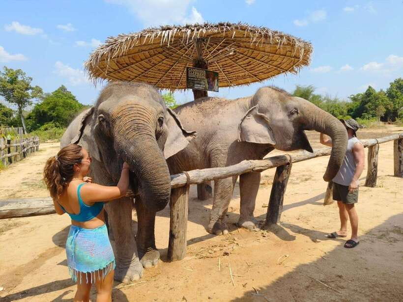 From Siem Reap: Elephant Sanctuary Experience with Transfers - Walking through the forest and watching natural behavior