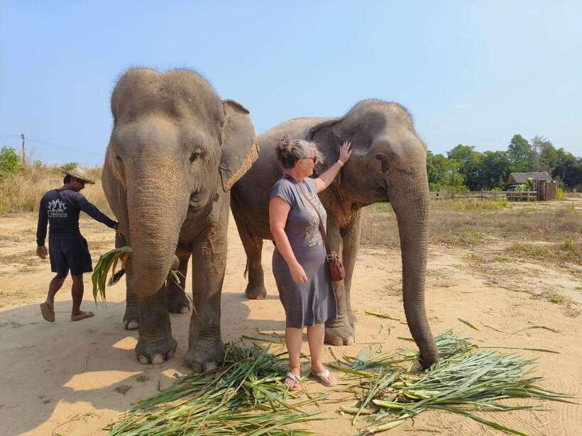 From Siem Reap: Elephant Sanctuary Experience with Transfers - What the $69 price includes