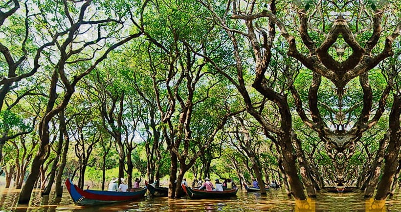 From Siem Reap: Floating Village Tour by Boat - The flooded forest canoe option from October to January
