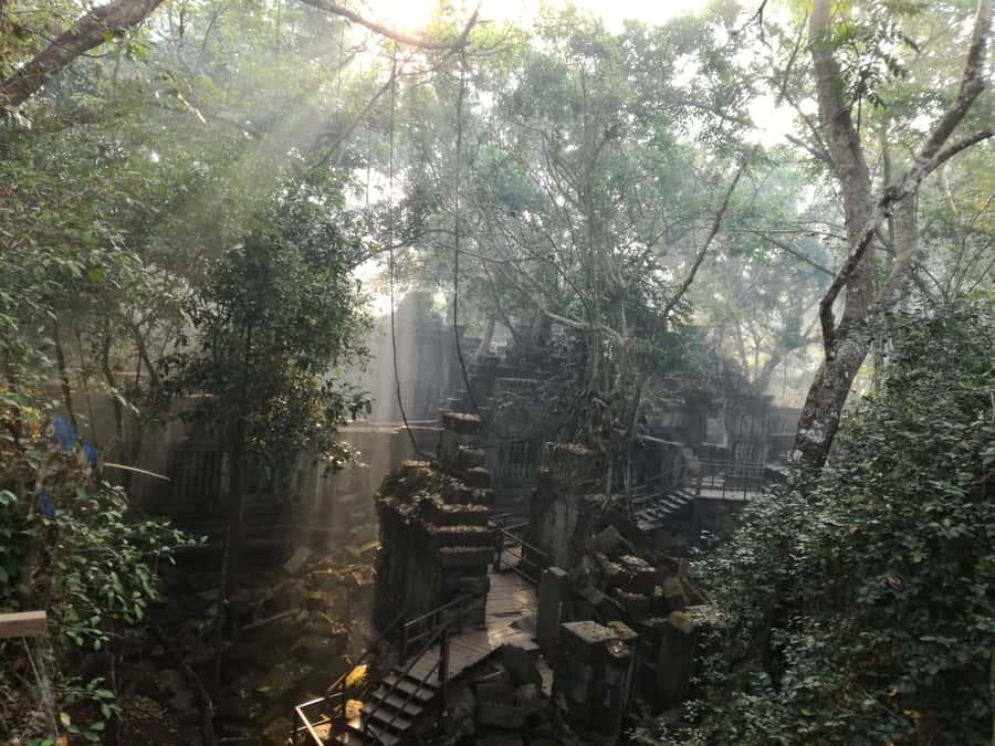 From Siem Reap: Half-Day Tour to Beng Mealea Temple - A Quieter Alternative to the Main Angkor Circuit