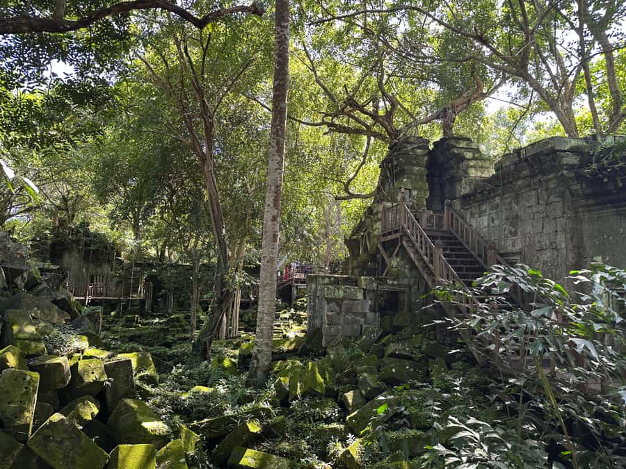 From Siem Reap: Half-Day Tour to Beng Mealea Temple - Is $130 Per Person Fair Value?