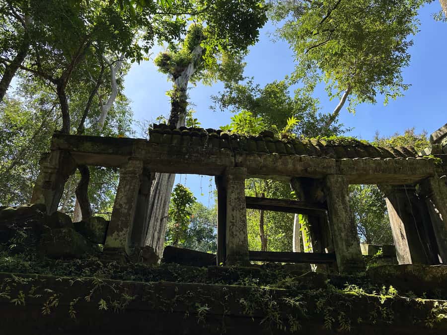 From Siem Reap: Half-Day Tour to Beng Mealea Temple - Who Will Enjoy This Half-Day Trip
