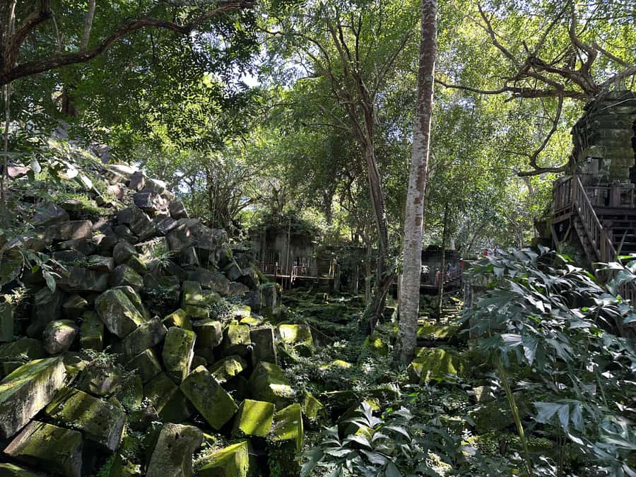 From Siem Reap: Half-Day Tour to Beng Mealea Temple - Booking, Timing, and Cancellation