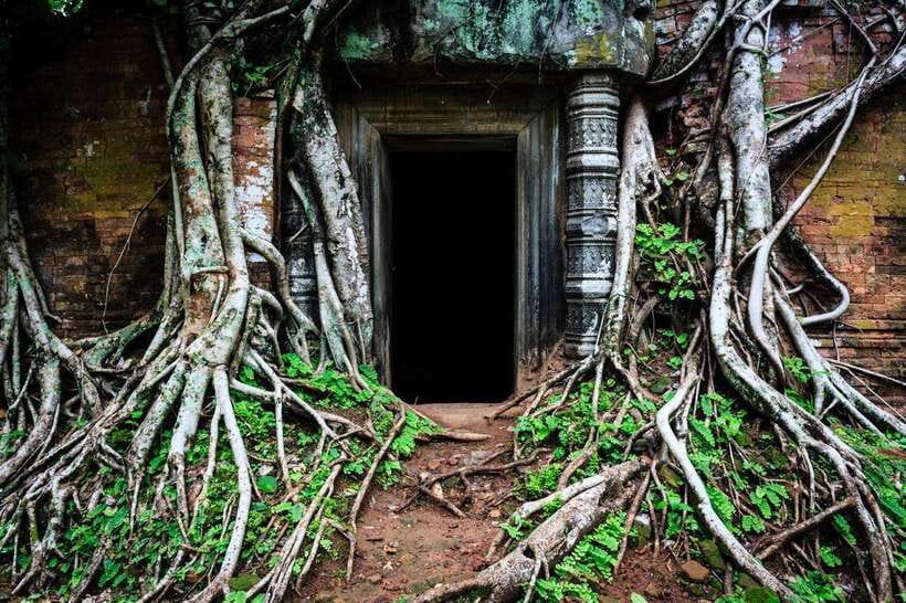 From Siem Reap: Koh Ker and Beng Mealea Temples Tour - Koh Ker’s pyramid and forest shrines