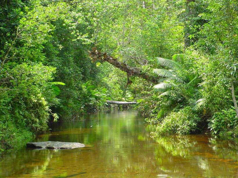From Siem Reap: Small-Group Phnom Kulen Waterfall Day Tour - Phnom Kulen waterfall and the swimming pools