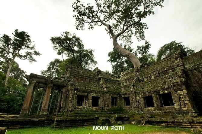 Full-Day Angkor Wat & All Must-See with Banteay Srei Private Tour - Ta Prohm delivers the most memorable atmosphere