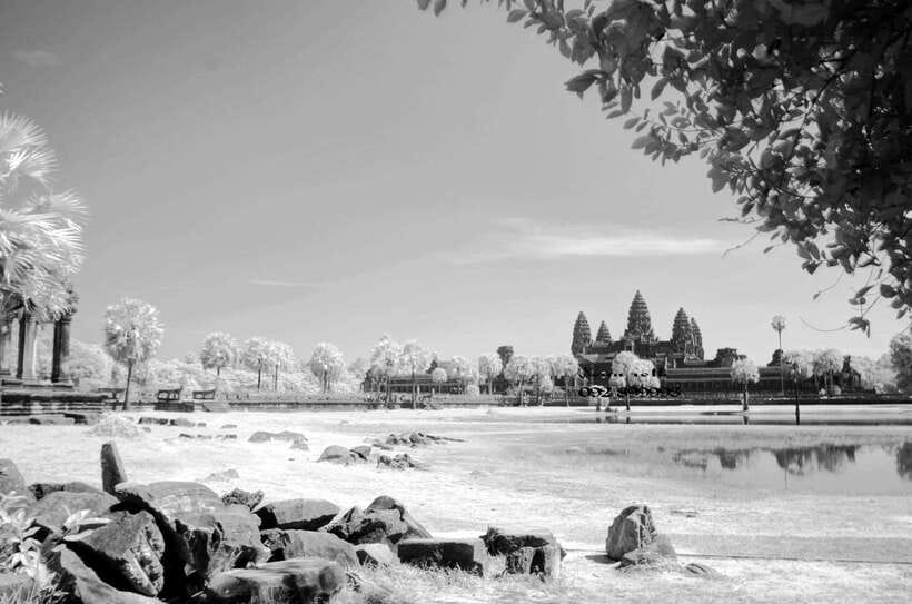 Full-Day Angkor Wat Sunrise and Sunset Private Tour - Ta Prohm and the power of nature