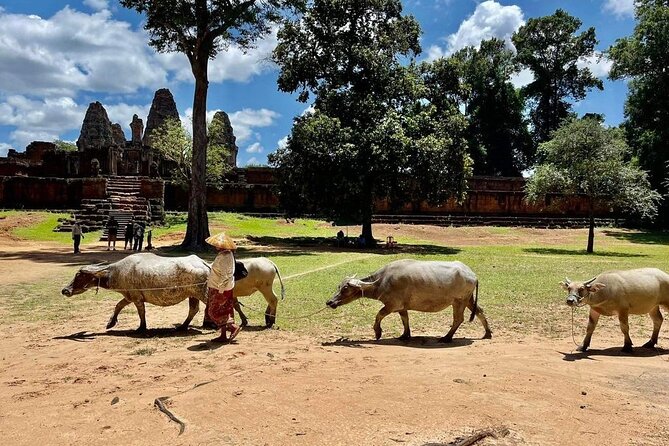 Full-Day 'Big Tour' with Sunset at Phnom Bakheng - Ta Som is the overgrown temple stop
