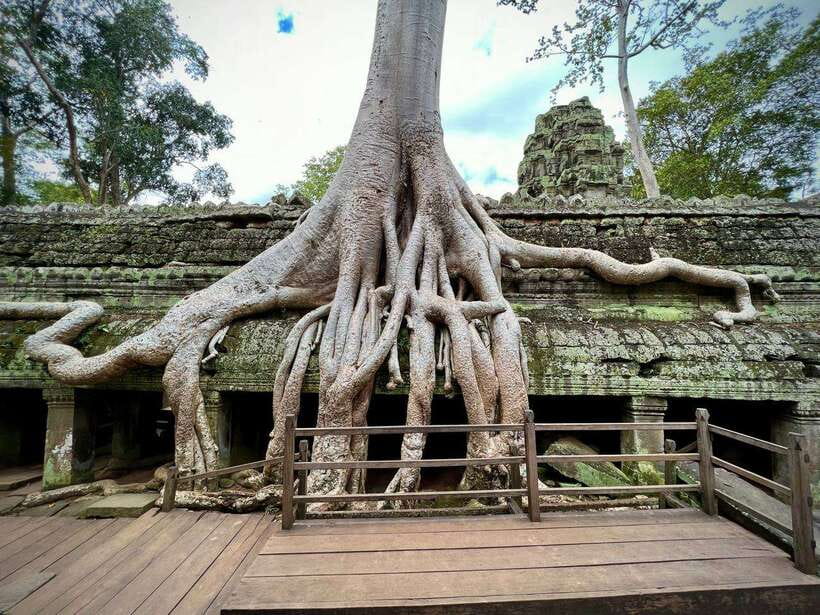 Full Day Private of Angkor Wat Tour with Tuk Tuk - Angkor Thom and Bayon’s stone faces
